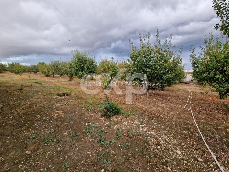 Teren de vanzare  intravilan 660 mp + 1500 livada  Racovița (DB) - 2