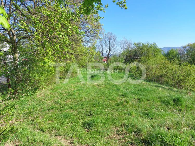 Teren intravilan 4280 mp acces la drum si utilitati zona deosebita - 11