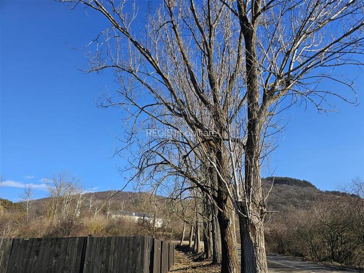 Teren Sanpetru 900mp Lempes - 6