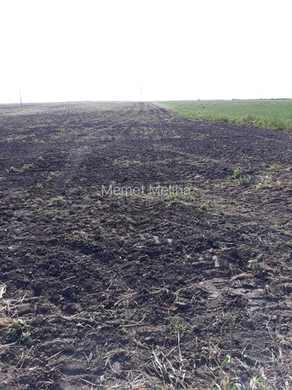 Vand teren extravilan comuna Agigea - 4