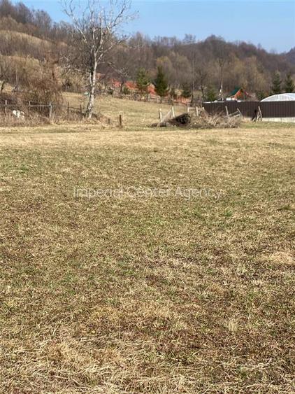 Teren de vanzare pentru constructii Slanic Moldova - 8