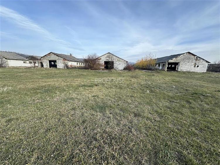 Platforma industriala 27.000mp - Racova - Buhusi - 6