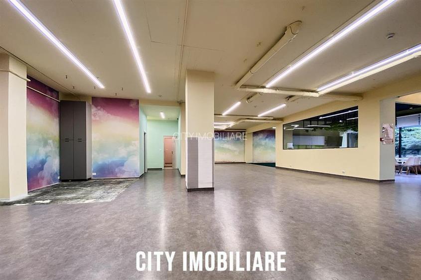 Spatiu comercial 250 mp + terasa 70 mp, Grigorescu, Parter, Ideal HoReCa   Showr - 12