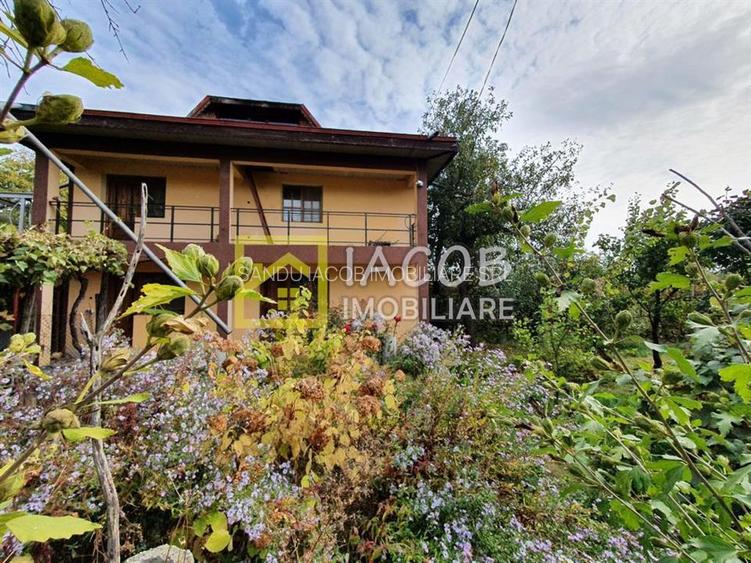 Casa P+1 si 1070 mp teren, loc. Dumbrava - Bacau - 5