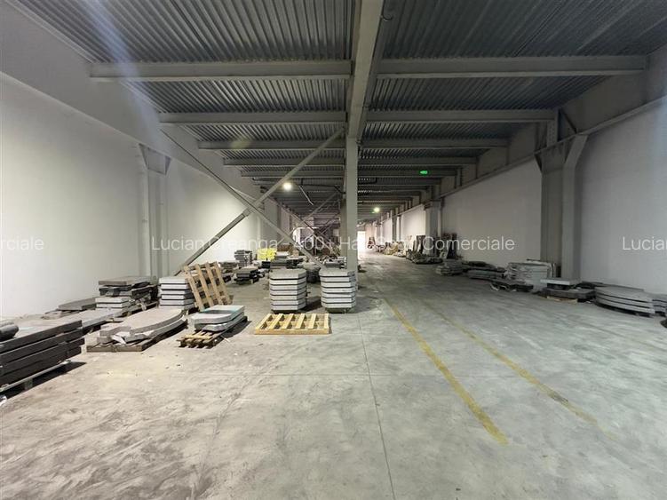 Hale Calea Chisinaului Iasi, aproape de Carrefour de la 65mp la 2000mp - 11