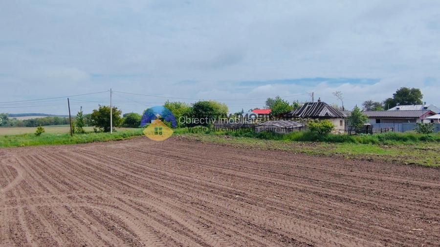 Teren- Com. Stefan cel Mare- jud. Neamt - 8