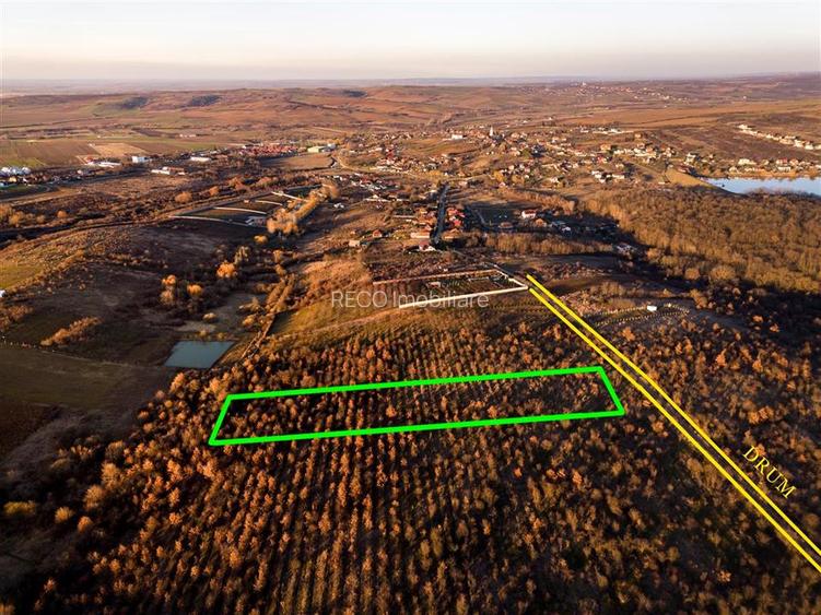 RECO Teren Intravilan 5305mp Paleu - 3