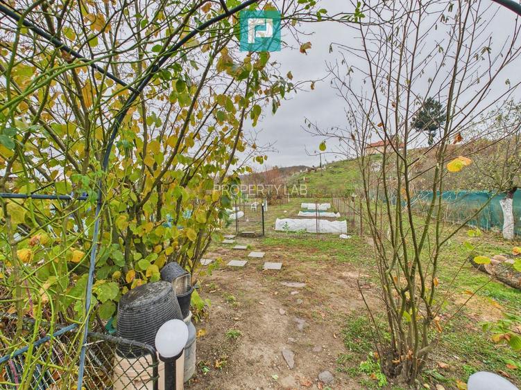 Casă renovată în localitatea Comănești, Arad - 22