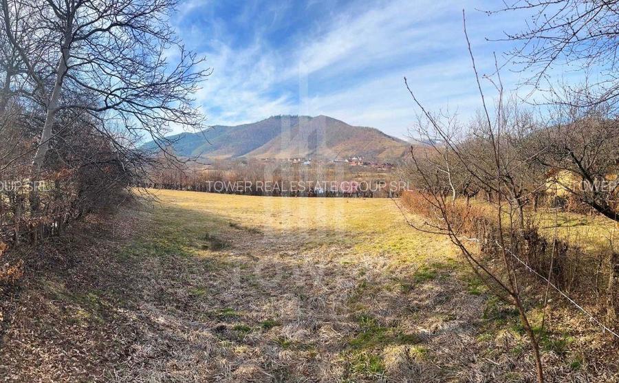 Teren intravilan 2.295 mp, deschidere 60 m – Rășinari, comision 0% - 7