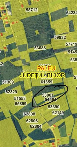 RECO Teren intravilan in  Paleu 6178mp - 4
