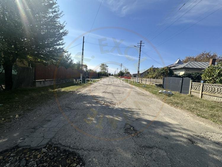 Teren 5216 mp la 2 pasi de autostrada A1 - com. Ratesti - 10