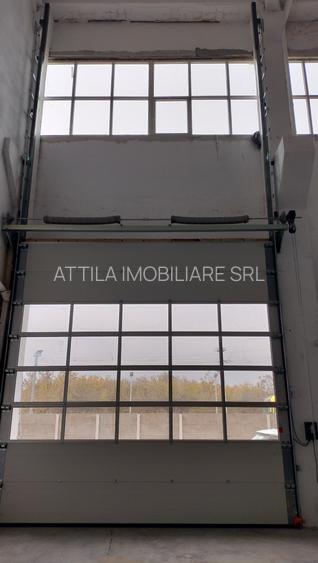 Inchiriez hala 488 mo zona Sagului - 6