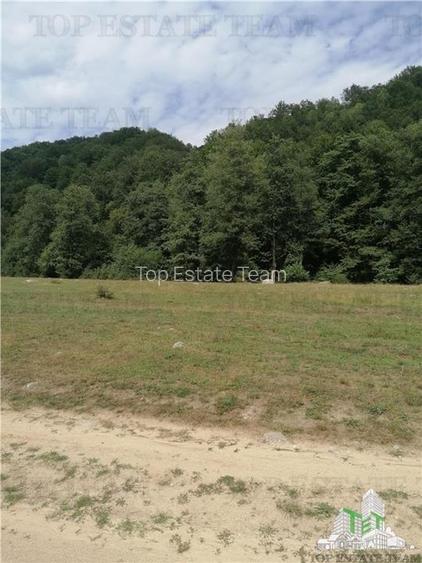 Teren intravilan - Berevoiesti - Arges - 3