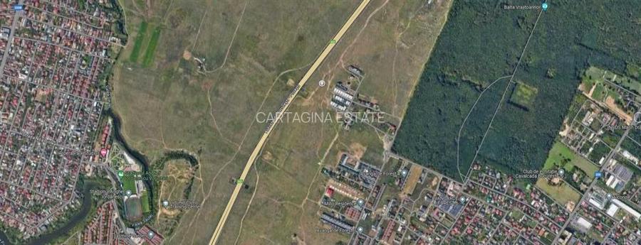 Teren intravilan   1000mp   fs 30ml   Matei Millo - 2