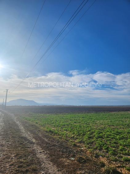 Vanzare loturi teren pentru case  cu utilitati Halchiu - 3