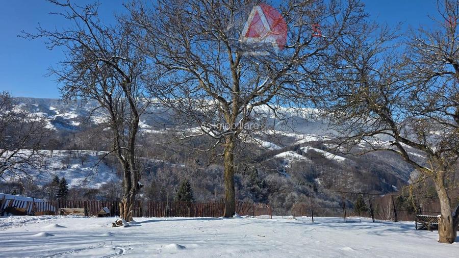 Oportunitate Unică! Teren în Moieciu de Jos – Natură Pură, Pârâu și Potential - 11