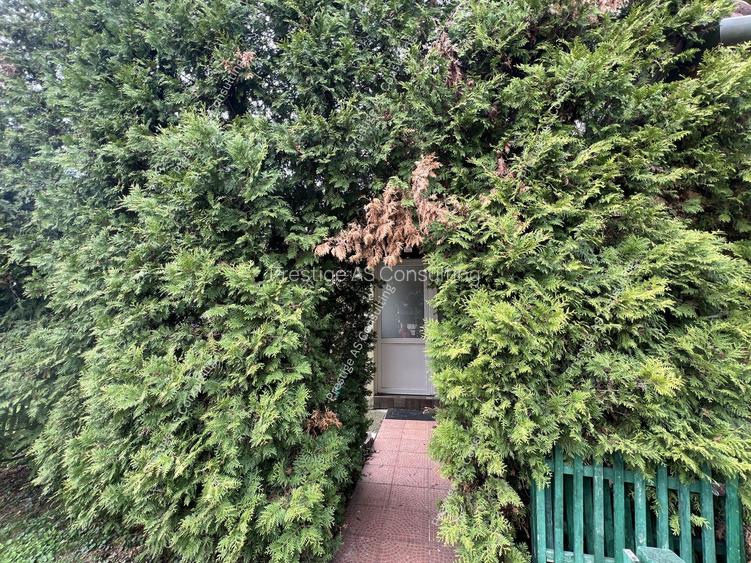 Vila individuala renovata complet | 6 camere | 500 mp teren | Str Jean Monnet - 36