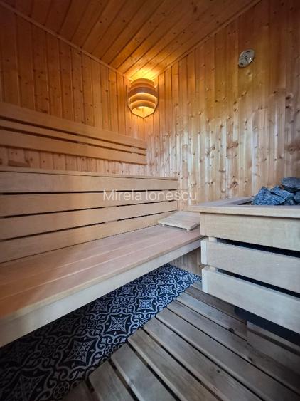 Proprietate cu 2 locuinte independente, spa privat, teren generos -Tunari Centru - 15