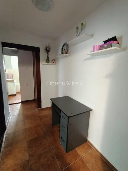 Inchiriez apartament 3 cam Brazda lui Novac - 9