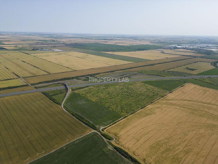 Teren 12 ha la Autostrada A1 cu PUZ aprobat - 3