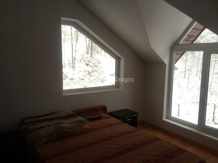 CASA DE VACANTA - TISMANA - GORJ - 5