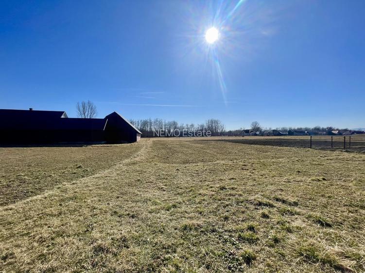 CASA RENOVATA + TEREN 3100 MP | CURTE SI GRADINA | FRATAUTII NOI - 25