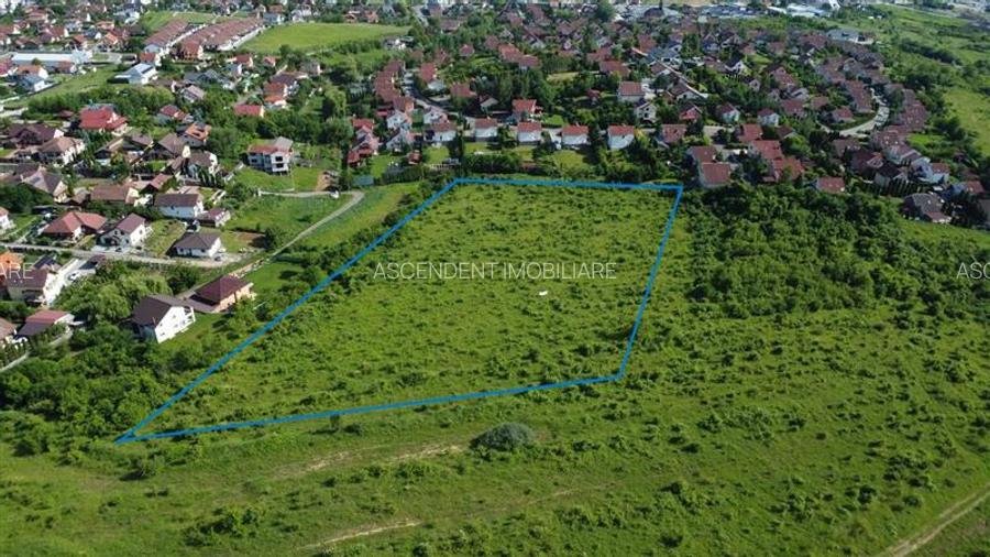 FILM!Oportunitate: 8.500mp, recomandat investitional/dezvoltare,Livezeni, Mures - 9