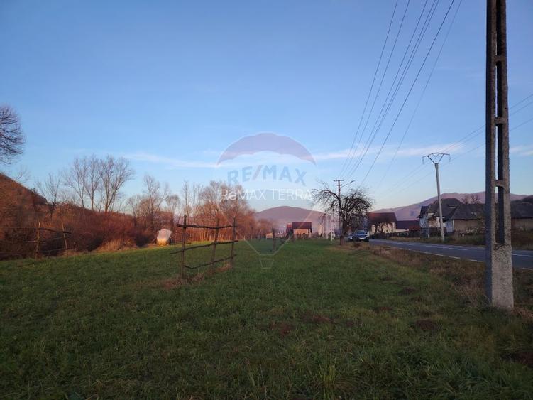 COMISION 0%  Teren intravilan de vanzare in Barsana (26 ARI) - 4