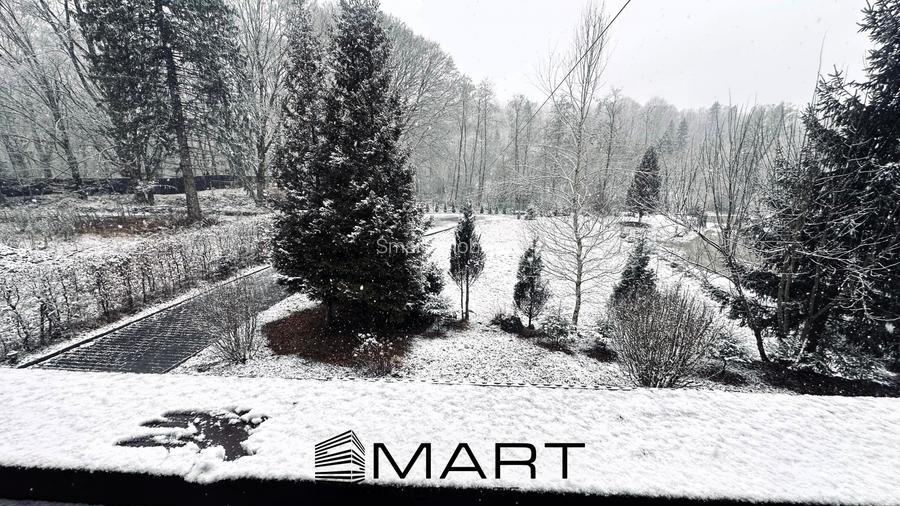 Casa de vacanta cu teren 2000mp Valea Avrigului - 3