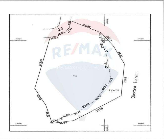 Teren Lepsa Soveja DN2 L - 4