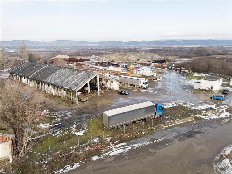 RECO . Proprietate industriala Tileagd . - 14