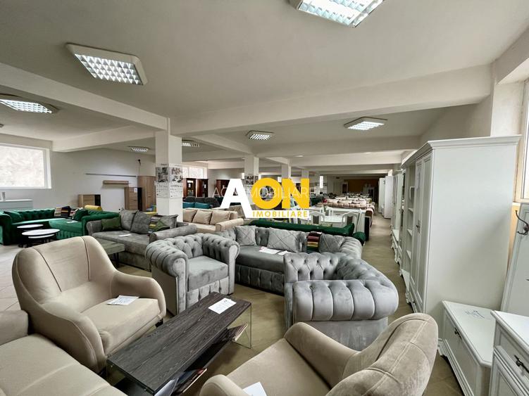 Spațiu Comercial, 400mp Nivel, Cetate - 4