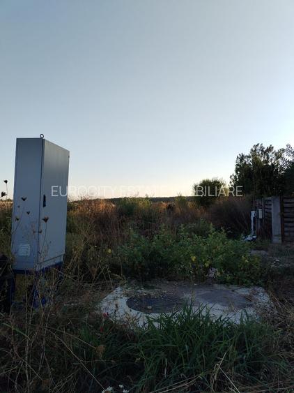 Ciolpani, spre Izvorani - COR, vanzare teren 5000mp. - 4