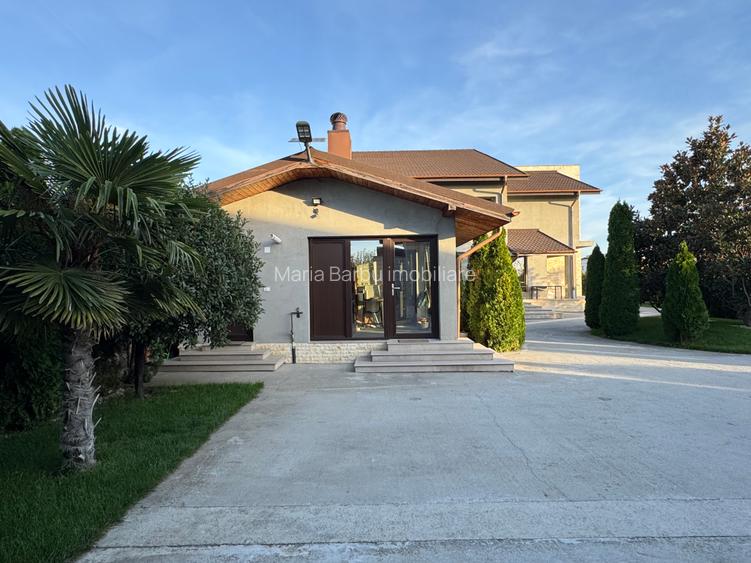 Vila S+P+1E, finisaje de lux, teren - 3000 mp, zona Platou Strehareti - 4