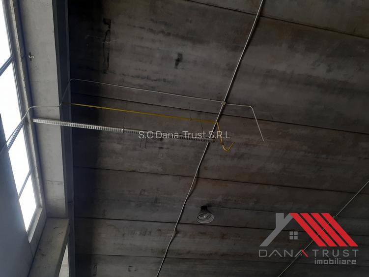 Hala depozitare  - Logistica  C. Lugojului acces TIR - 5