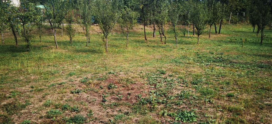 Loturi de teren in Cornu de Jos , Cornu lui Nastase