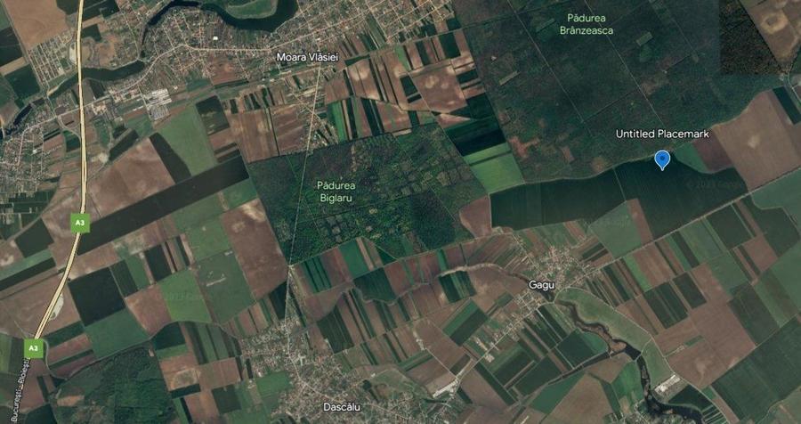 MOARA VLASIEI TEREN 8918 mp (22018mp) IDEAL INVESTITIE