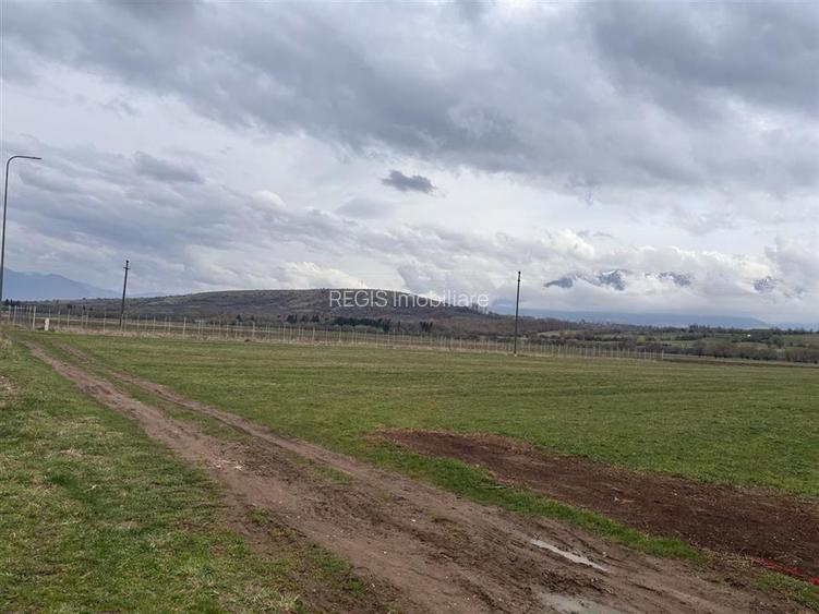 Teren constructii, 2396mp, front 19ml-Zarnesti - 3