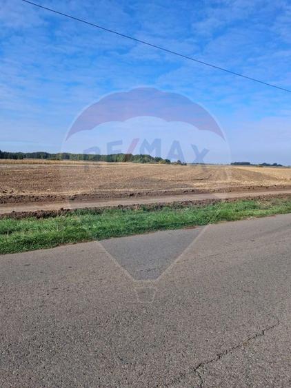 Teren 21,177mp Santaul Mic / Strada -