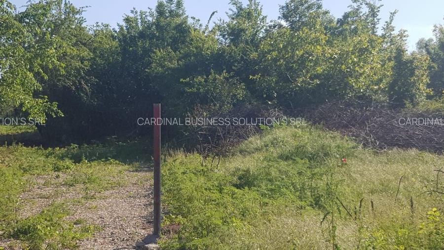 Ciolpani- Drumul Piscului patru loturi teren de la 896 mp pana la 977 mp - 6