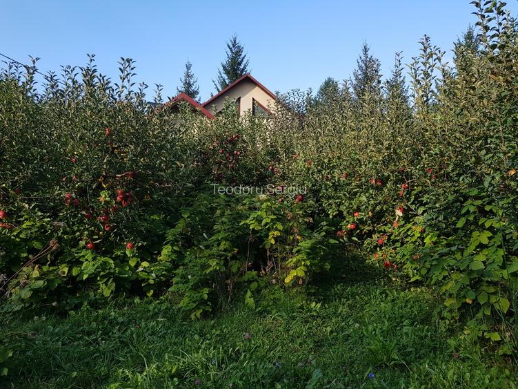 Vânzare casă cu teren - 3