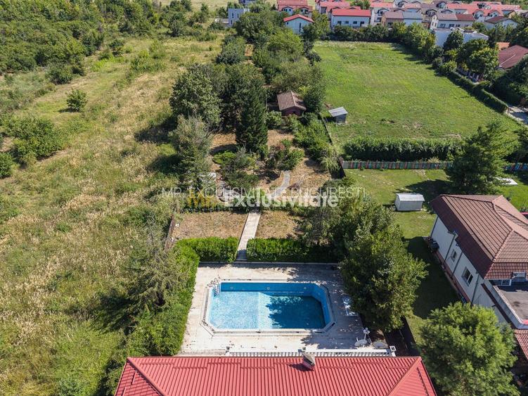 Domeniu privat 5.000 mp, cu reședință de 625 mp și piscină, Corbeanca - 46