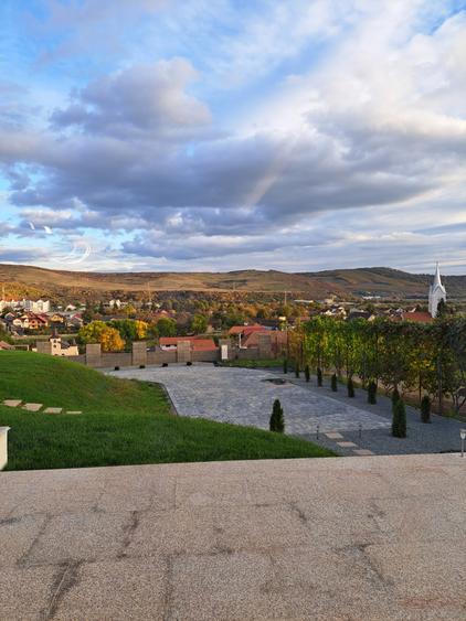 VILA NOUA,MODERNA CU 2100 METRI PATRATI TEREN-VIISOARA