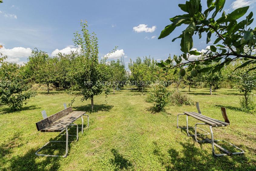 Casă de vânzare Tâncăbești cu grădină, aproape de lac - 28