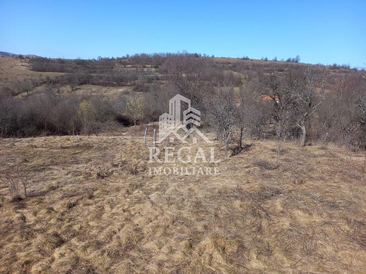 Două case de vânzare – Cerisor – teren generos 6996 mp