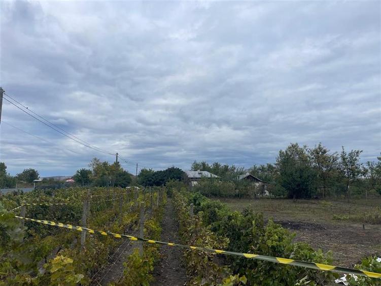 Teren de vanzare in localitatea Iazurile judetul Tulcea