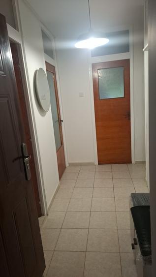 Garsoniera superba 10 min M Costin Georgian DB2411