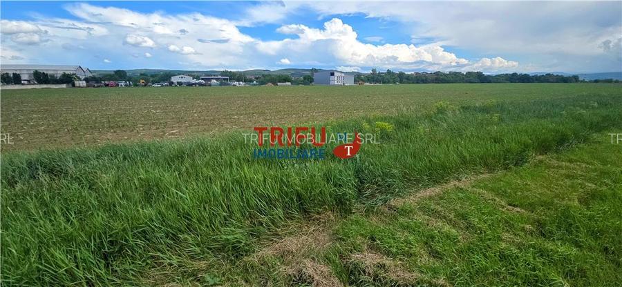 Teren intravilan industrial cu PUZ aprobat - 3