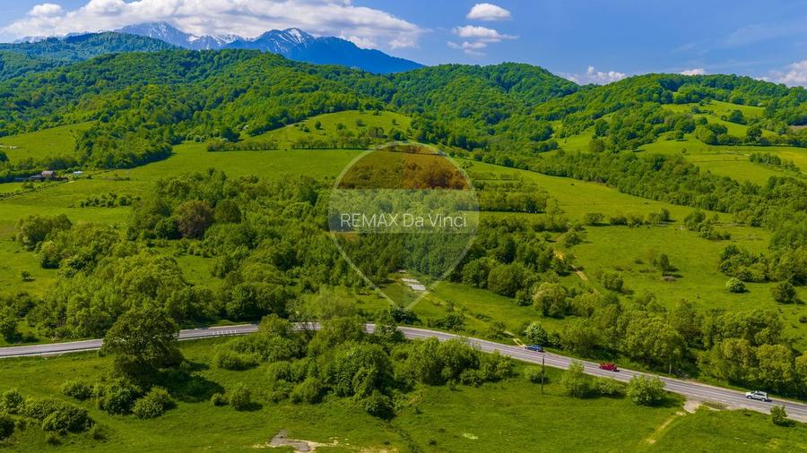 Teren 1ha Valea Glăjeriei - Rasnov | Comision 0% - 6