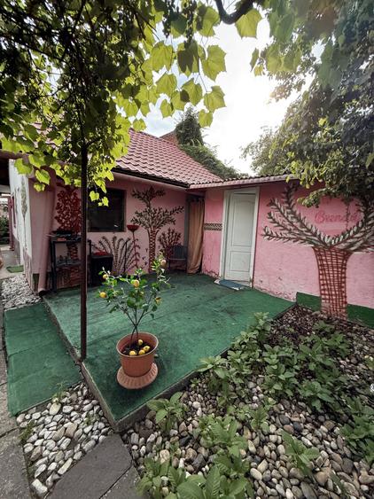 Casa 4 camere, 2 bai, 2 bucatarii, 130 mp utili, 902 teren - Bogdanestilor